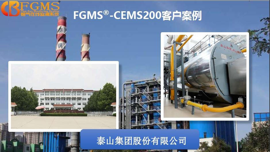 泰山集团股份有限公司